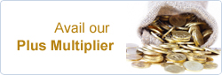 Plus Multiplier